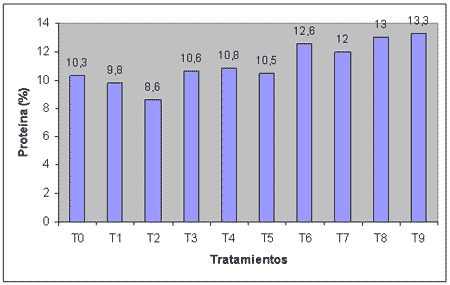 Evaluación del efecto de un fertilizantes foliar nitrogenado sobre el rendimiento, la calidad y la eficiencia de uso del nitrógeno en trigo - Image 7