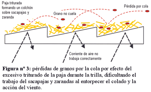 Relevamiento de pérdidas de granos en la cosecha de trigo 2007 - Image 3