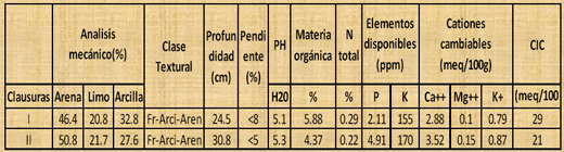 Fenología del trébol de puna en las praderas nativas altoandinas - Image 3