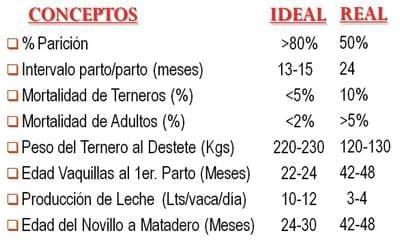 Problemática de la actividad ganadera de occidente de Nicaragua - Image 1