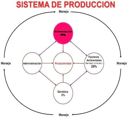 Problemática de la actividad ganadera de occidente de Nicaragua - Image 8