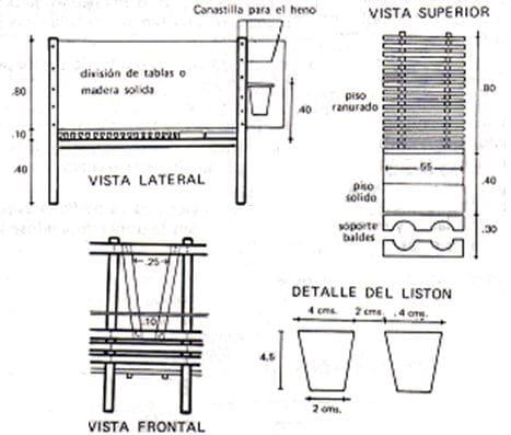 Manejo de la ternera antes del nacimiento - Image 4