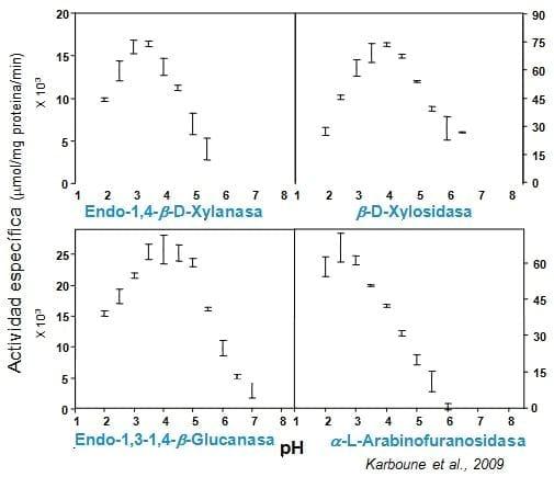 Combinar enzimas - Image 1