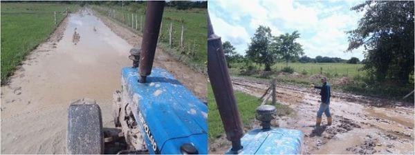 EXPERIENCIA CON PRV EN LA GANADERÍA EBENEZER PARA LA PRODUCCIÓN DE LECHE Y CARNE CON GANADO MESTIZO DE BIOTIPO CEBUÍNO EN EL MUNICIPIO DE MATURÍN, ESTADO MONAGAS, VENEZUELA - Image 23