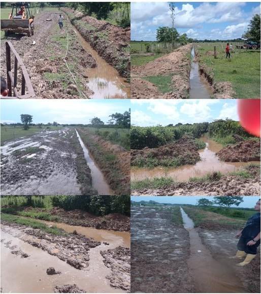 EXPERIENCIA CON PRV EN LA GANADERÍA EBENEZER PARA LA PRODUCCIÓN DE LECHE Y CARNE CON GANADO MESTIZO DE BIOTIPO CEBUÍNO EN EL MUNICIPIO DE MATURÍN, ESTADO MONAGAS, VENEZUELA - Image 25