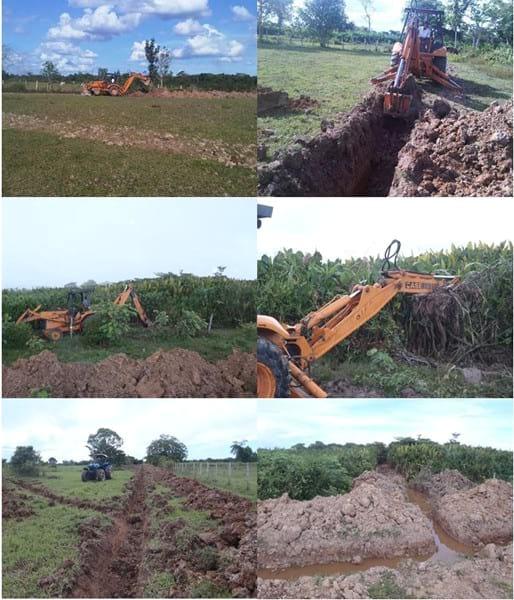 EXPERIENCIA CON PRV EN LA GANADERÍA EBENEZER PARA LA PRODUCCIÓN DE LECHE Y CARNE CON GANADO MESTIZO DE BIOTIPO CEBUÍNO EN EL MUNICIPIO DE MATURÍN, ESTADO MONAGAS, VENEZUELA - Image 13