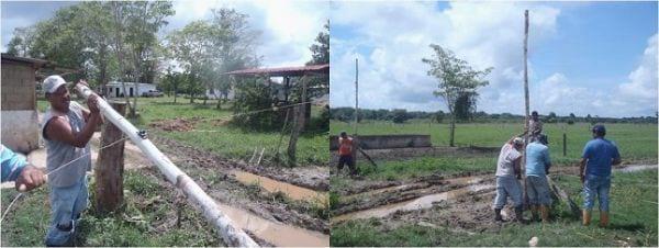 EXPERIENCIA CON PRV EN LA GANADERÍA EBENEZER PARA LA PRODUCCIÓN DE LECHE Y CARNE CON GANADO MESTIZO DE BIOTIPO CEBUÍNO EN EL MUNICIPIO DE MATURÍN, ESTADO MONAGAS, VENEZUELA - Image 17