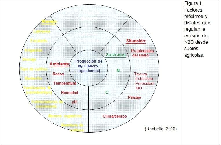 Emisión de gases de efecto invernadero derivados del proceso agroproductivo. El caso del Óxido Nitroso (N2O) - Image 1