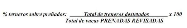 Merma Tacto-Destete, breve síntesis para identificar y corregir las pérdidas - Image 2