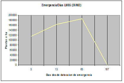 Densidad de Siembra en Garbanzo - Image 2