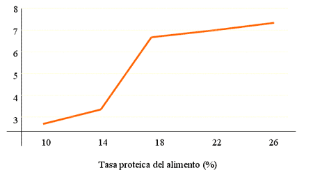 Alimentación - Image 3