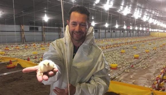 Argentina - Las Camelias: De 12 gallinas a producir 60 millones anuales - Image 1