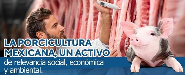 La Porcicultura Mexicana, un activo de relevancia social, económica y ambiental - Image 1