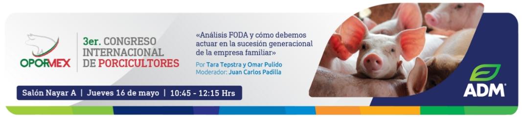 Análisis FODA y cómo debemos actuar en la sucesión generacional de la empresa familiar - Image 1