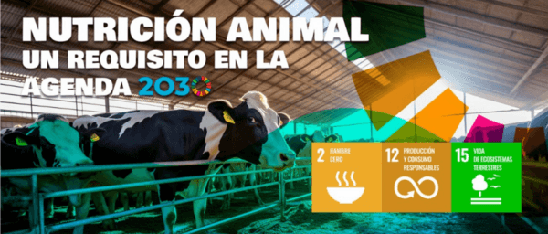 Nutrición animal un requisito en la agenda 2023 - Image 1