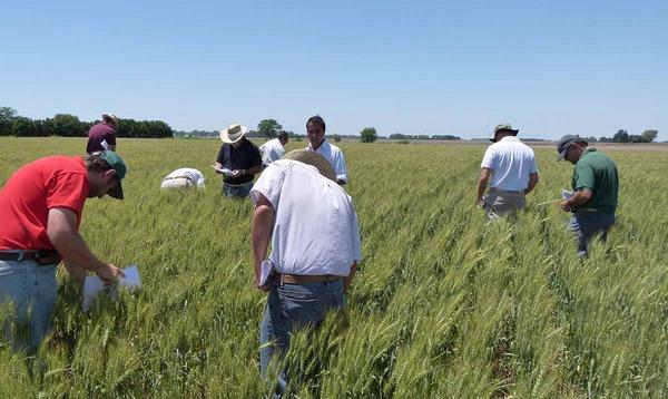 Argentina - Se viene Expocereales 2024, desde la siembra hasta la comercialización - Image 2