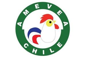 Chile - Asumió nueva directiva en AMEVEA - Image 1