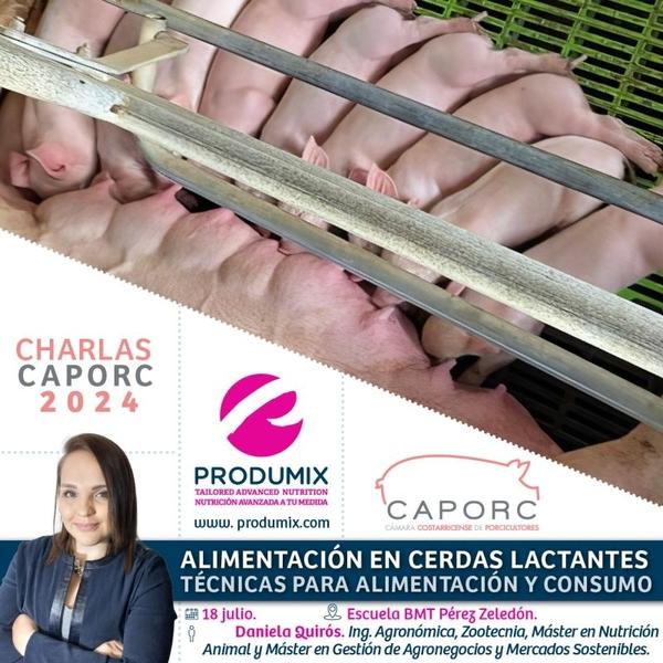 Alimentación en cerdas lactantes. Técnicas para alimentación y consumo - Image 1