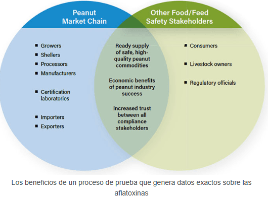 Avanzar en los objetivos de la industria del cacahuete: El valor de las pruebas de aflatoxinas para fines específicos - Image 3