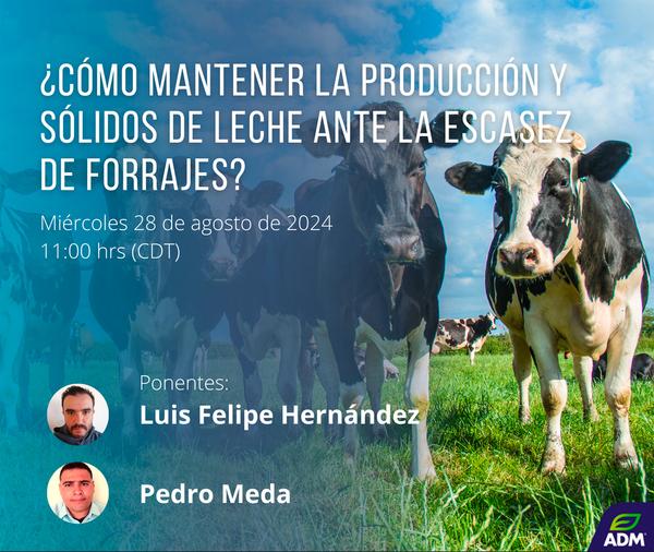 ¿Cómo mantener la producción y sólidos de leche ante la escasez de forrajes? - Image 1