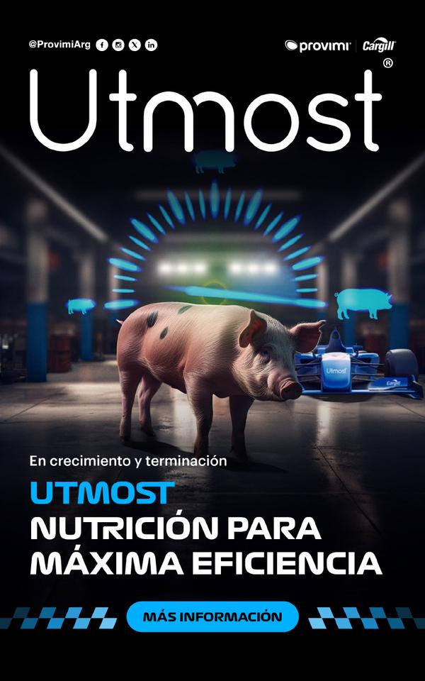 Utmost: Nutrición para máxima eficiencia - Image 1