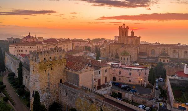 España - Tarragona, punto de encuentro internacional del sector cunícola - Image 2