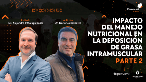 Carnecast - #38 Impacto del manejo nutricional en la deposición de grasa intramuscular - Parte 2 - Image 1