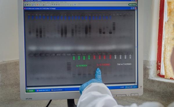 Colombia - Butirina esterificada tendría mejores resultados que los antibióticos en la producción porcina - Image 3