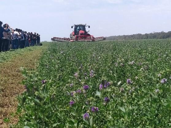 ExpoAlfa - Alfalfa, charlas, fierros, muestra, heno, negocios y mucho más - Image 1