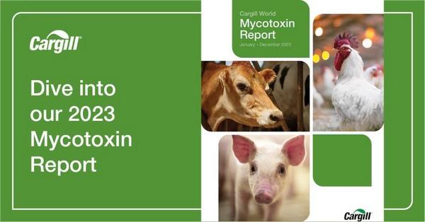 lnforme mundial sobre micotoxinas de Cargill - Image 1