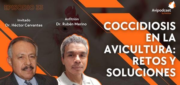 Avipodcast #33: Coccidiosis en la Avicultura: retos y soluciones - Image 1