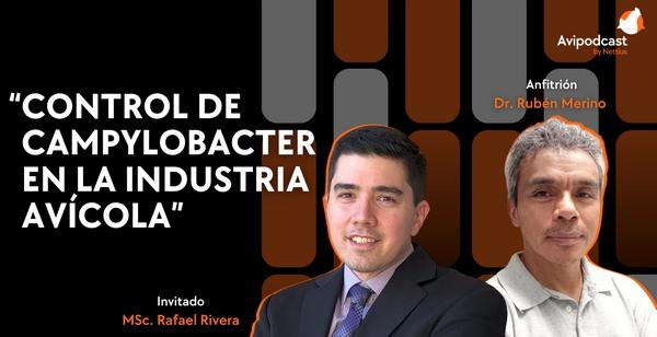 Avipodcast #32 - Control de Campylobacter en la Industria Avícola - Image 1