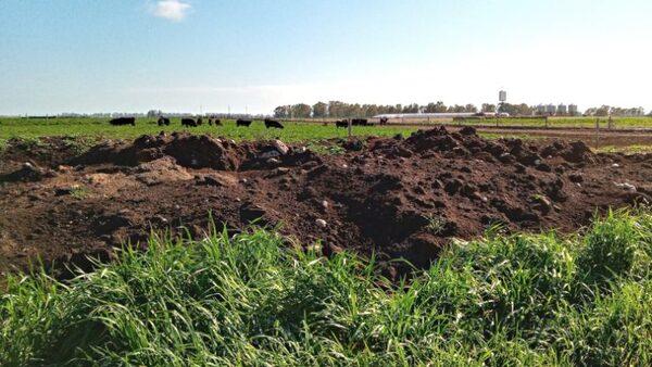 Argentina - Radiografía ambiental de un establecimiento agropecuario bonaerense - Image 1