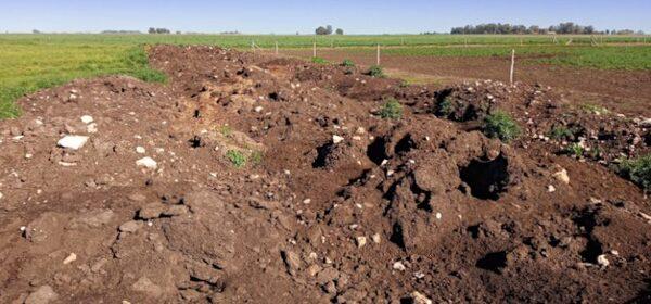 Argentina - Radiografía ambiental de un establecimiento agropecuario bonaerense - Image 3