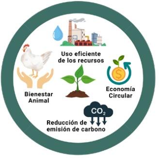 Argentina - Sostenibilidad en la avicultura. 17ª Jornada Avícola - Image 1