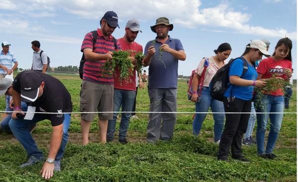 Expoalfalfa: “Alfalfa Inteligente”: ¿Cómo producir más leche y más carne de manera sostenible? - Image 1