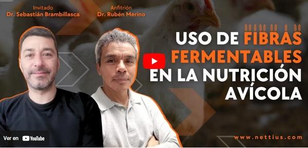 Avipodcast #43 - Fibras fermentables en la nutrición avícola - Image 1