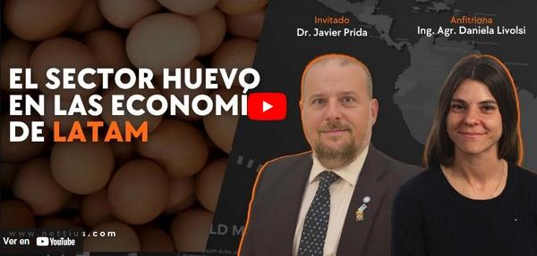 Avipodcast #41 - El sector huevo en las economías latinoamericanas - Image 1