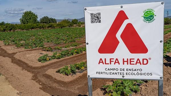 Innovación en la Agricultura Moderna: Campos de Ensayo para Fertilizantes Ecológicos - Image 1