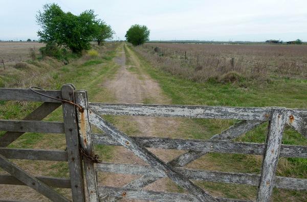 Argentina - Cómo subdividir un campo y por qué tiene qué hacerlo un matriculado - Image 1