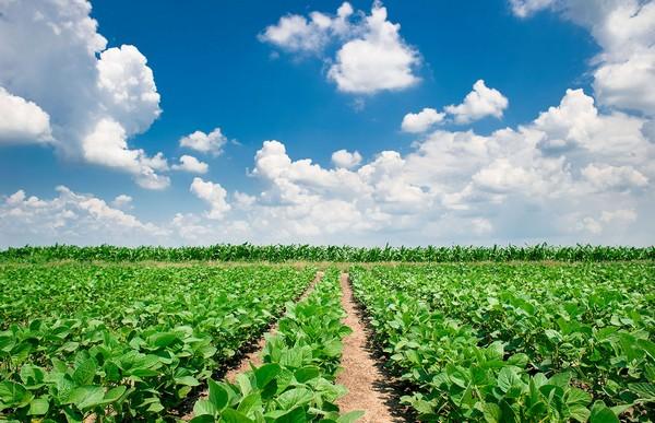 Argentina - Cómo subdividir un campo y por qué tiene qué hacerlo un matriculado - Image 3