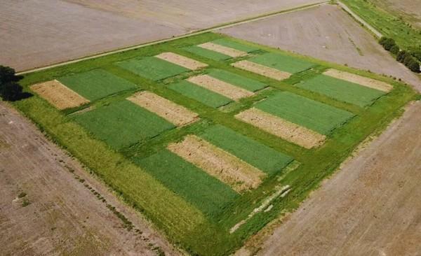 Argentina - Ensayos de larga duración, fundamentales para la agricultura del futuro - Image 1