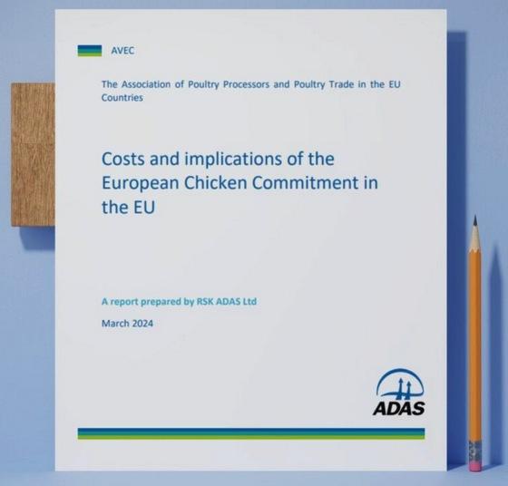 Unión Europea - implicaciones del Compromiso Europeo del Pollo - Image 1