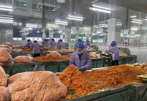 cHINA - Producirán alimento para pollos a partir de desechos de batata - Image 1