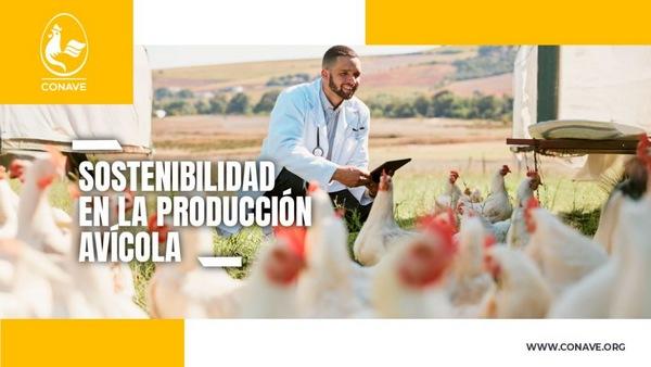 Ecuador - Sostenibilidad en la producción avícola - Image 1