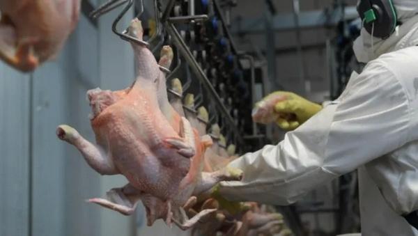 Argentina - En 2024, la carne de pollo fue la más consumida - Image 2