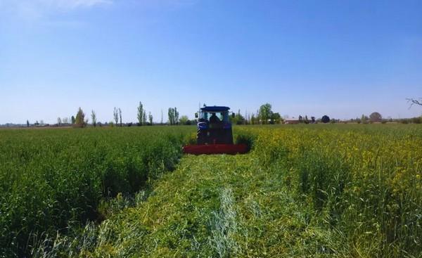 Argentina - Diseñan un protocolo de agricultura regenerativa - Image 2