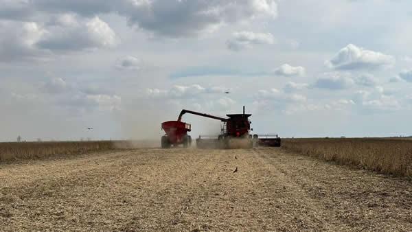 Argentina - Uso de fertilizantes aumentó un 7% en 2024 - Image 2