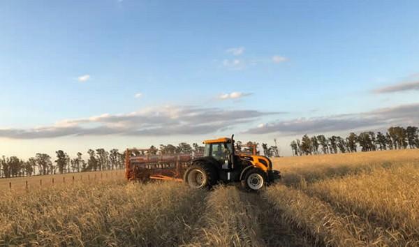 Argentina - Uso de fertilizantes aumentó un 7% en 2024 - Image 1