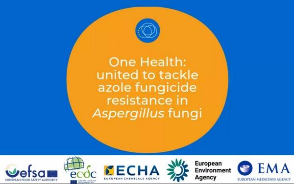 UE - One Health: Resistencia a los fungicidas azólicos - Image 1